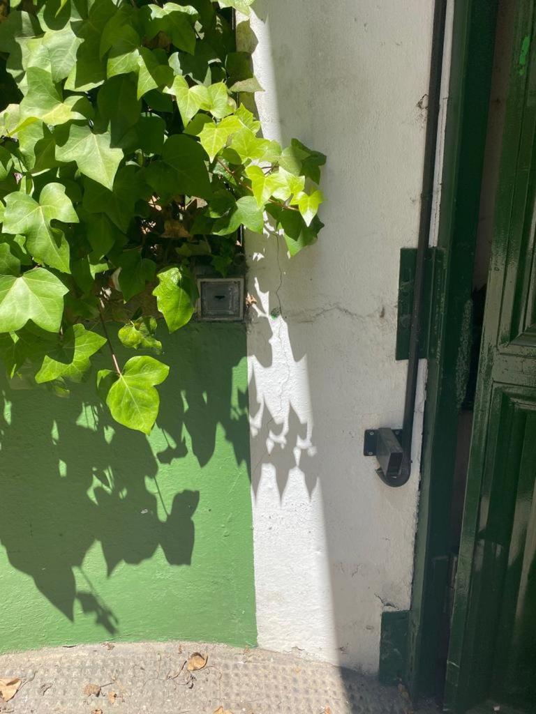 Rentalsevilla San Clemente Exterior photo