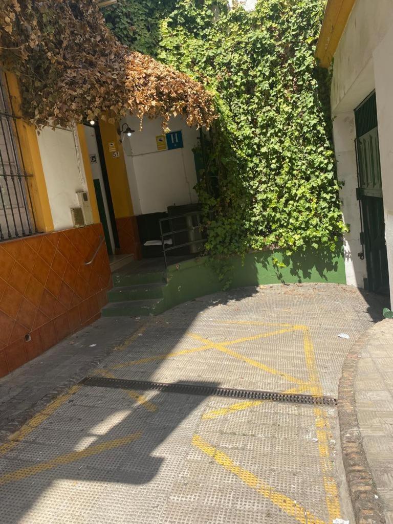 Rentalsevilla San Clemente Exterior photo