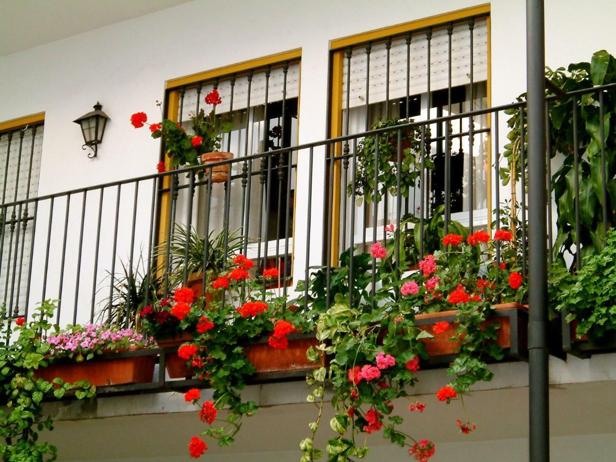 Rentalsevilla San Clemente Exterior photo